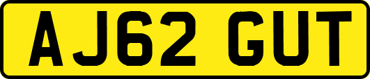 AJ62GUT