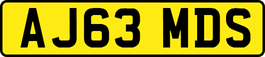AJ63MDS