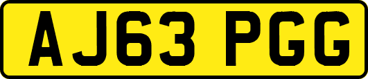 AJ63PGG