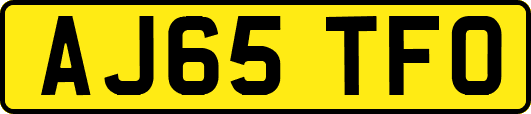 AJ65TFO