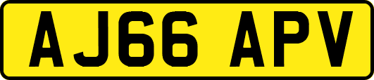 AJ66APV