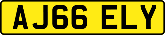 AJ66ELY