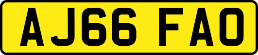 AJ66FAO