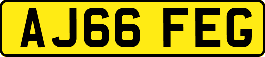 AJ66FEG