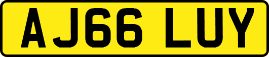 AJ66LUY