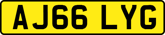 AJ66LYG