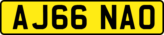 AJ66NAO