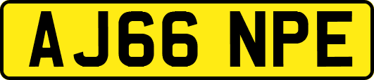 AJ66NPE