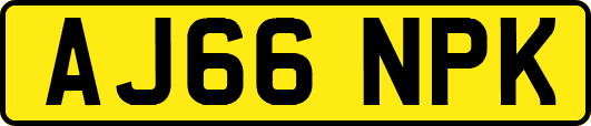 AJ66NPK