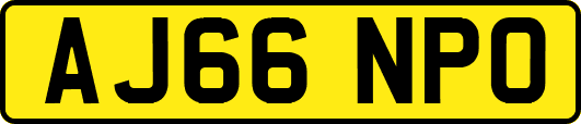 AJ66NPO