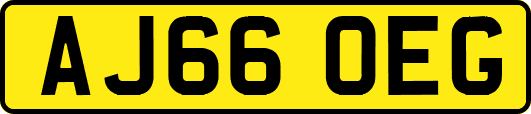 AJ66OEG