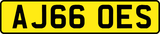 AJ66OES