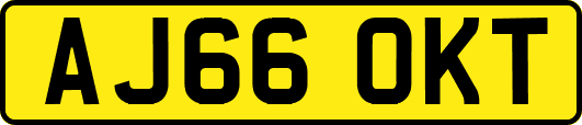 AJ66OKT