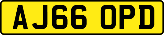 AJ66OPD