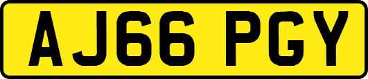 AJ66PGY