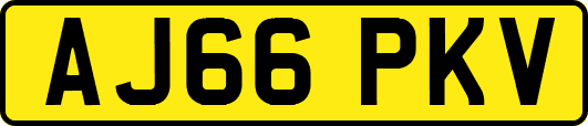 AJ66PKV