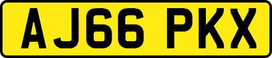 AJ66PKX