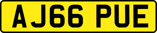 AJ66PUE