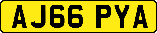 AJ66PYA