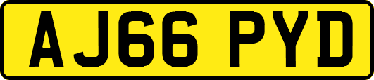 AJ66PYD