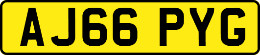 AJ66PYG