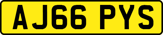 AJ66PYS