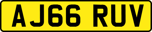 AJ66RUV