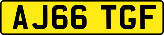 AJ66TGF