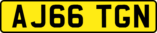 AJ66TGN