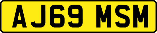 AJ69MSM