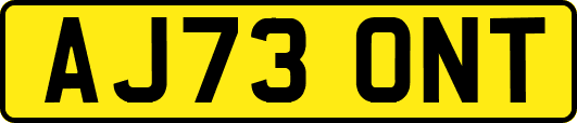 AJ73ONT