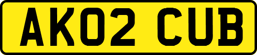 AK02CUB