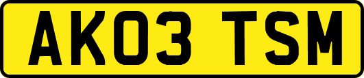 AK03TSM