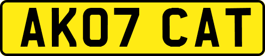 AK07CAT