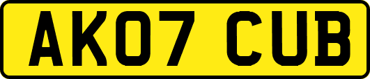 AK07CUB