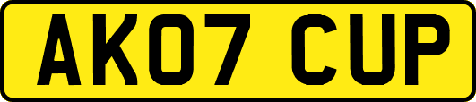 AK07CUP