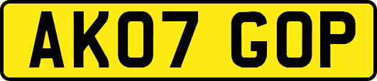 AK07GOP