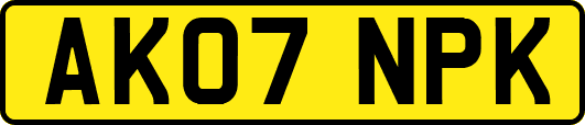 AK07NPK