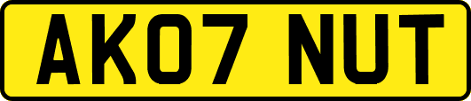 AK07NUT