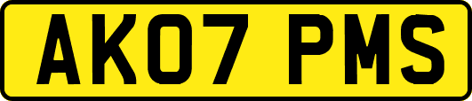 AK07PMS