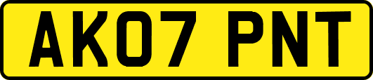 AK07PNT