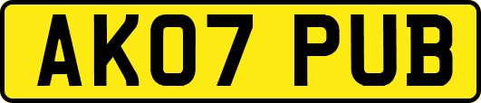 AK07PUB