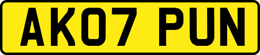 AK07PUN