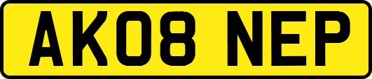 AK08NEP