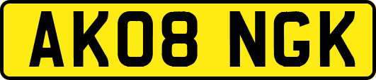 AK08NGK