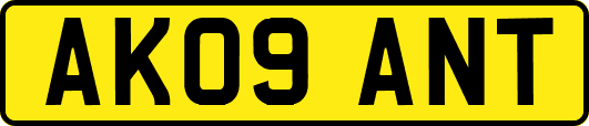 AK09ANT