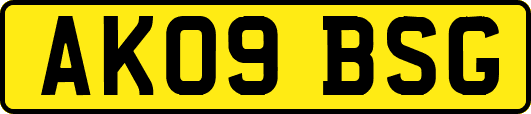 AK09BSG