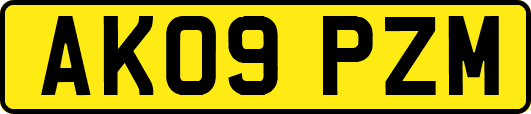 AK09PZM