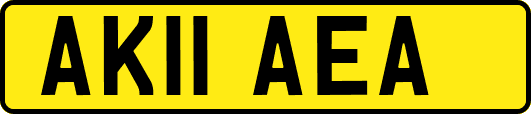 AK11AEA