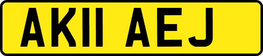 AK11AEJ